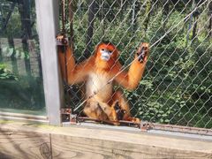 -哈尔滨北方森林动物园