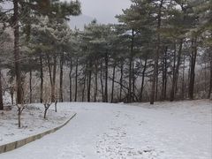 -北京西山国家森林公园