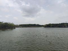 -昆山城市生态森林公园