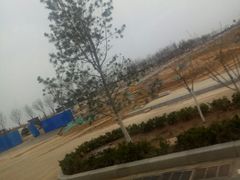 -万达广场(泰安泰山店)