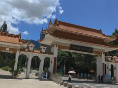 -深圳仙湖植物园