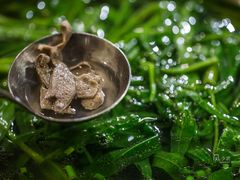 -不相离盐帮菜(郎园店)