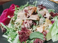 -情满四合院•京菜•烤鸭(动物园店)