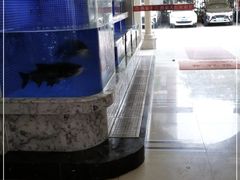 -香山湖渔家大院