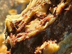 -爱德顺糕点食屋(利民道店)