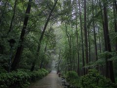 -虎跑公园