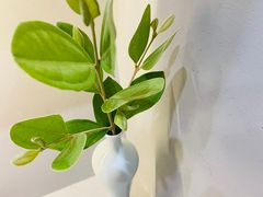 -世间香境·七溪地