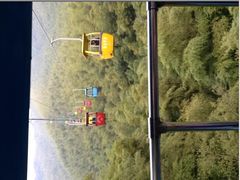 -镇江市南山风景名胜区竹林景区