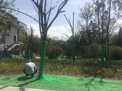 -莲湖公园