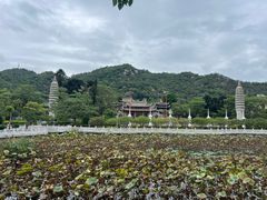 -南普陀素菜馆