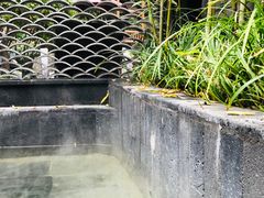 -西安国际创新人才交流中心•药浴温泉