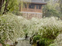 -中国茶叶博物馆(双峰馆区)