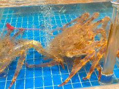 -新丁香海鲜酒店(银海商贸城店)