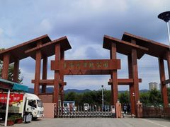 -羊亭河湿地公园