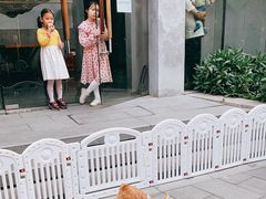 -1Cake壹刻蛋糕(奥体公园味觉艺术馆店)