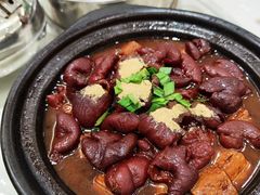 肠肠豆腐煲-老西门·常州菜(新区店)