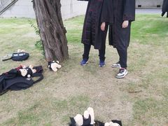 -上海财经大学(国定路校区)