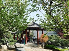 -中国唐苑