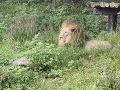 -宁波野生动物园