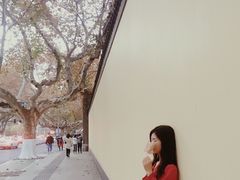 -江苏省美术馆(长江路新馆)