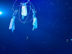 -珠海横琴长隆《卡卡虎奇遇记》