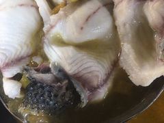 -云鱿记鱿鱼鸡·野生菌火锅(人民南路店)