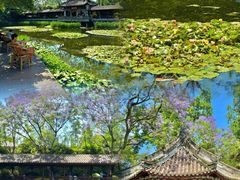 -成都市文化公园