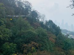 -南山植物园