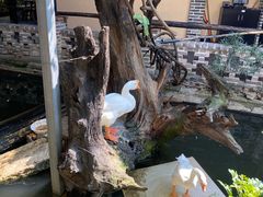 -优之名鹅城