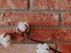 -春庄咖啡SpringHues(钟楼小区店)
