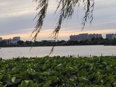 -济南大明湖景区