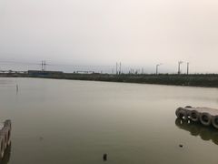 -大港湿地公园