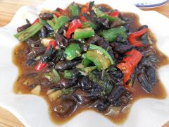 紫苏山坑螺-思远客家菜馆(巴伐利亚店)