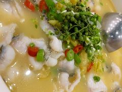 -蜀腾川·火锅鱼.烤鱼(新世界城店)