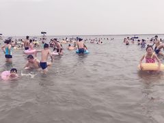-碧海金沙