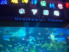 -泉城欧乐堡海洋极地世界