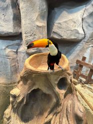 -Zoolung Zoolung动物主题公园(海信广场店)