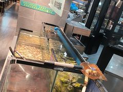 -遇上西雅图多融合海鲜自助餐厅(中房金谊广场店)