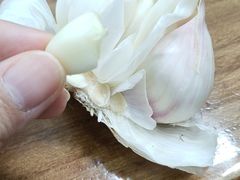-回坊马二饺子馆