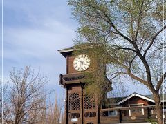 -永定河休闲森林公园