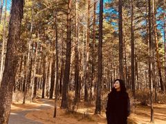 -北极村旅游风景区