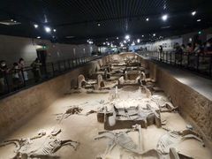 -洛阳周王城天子驾六博物馆