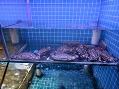 -面道赞宁海海鲜面(迎凤街店)