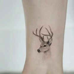 -见雾TATTOO STUDIO