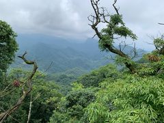 -青城山