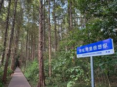 -同里国家湿地公园