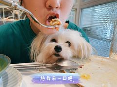 -nata&bica(松江大学城店)