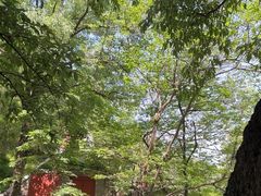 -潭柘寺景区