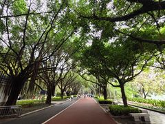 -南宁南湖公园