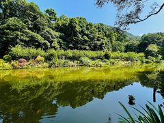 -深圳仙湖植物园